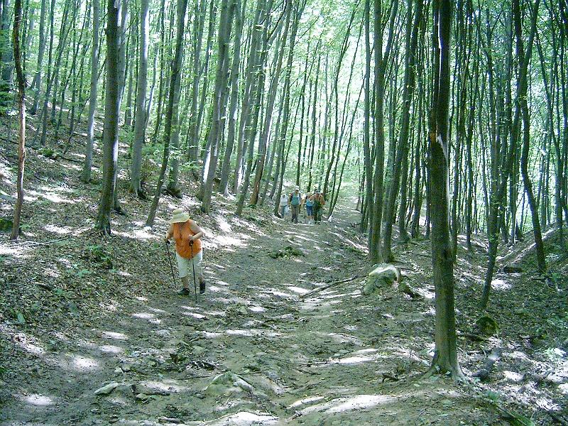 2010.07.24. 045.jpg